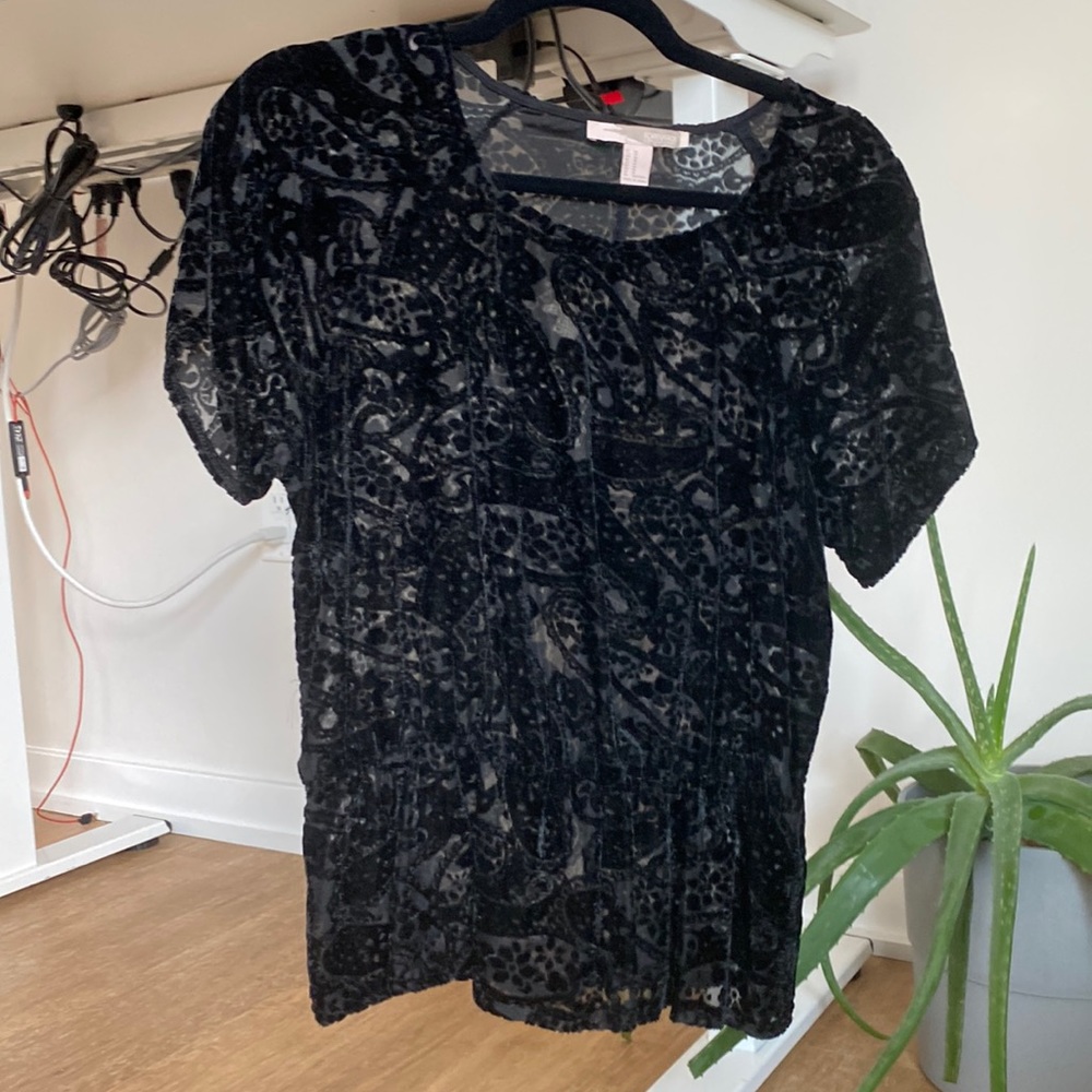 Forever 21 semi sheer short sleeve velvet top